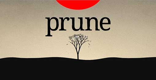 Prune 1.1.4 Apk + Mod (Unlimited Skip) for Android