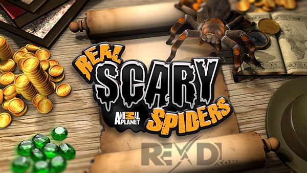 Real Scary Spiders 1.3.3 Apk + Mod for Android