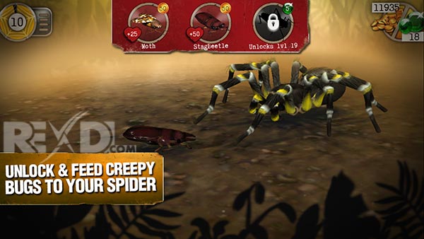 Real Scary Spiders 1.3.3 Apk + Mod for Android