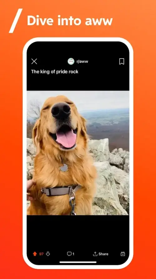 Reddit v2024.35.0 MOD APK (Premium Unlocked)