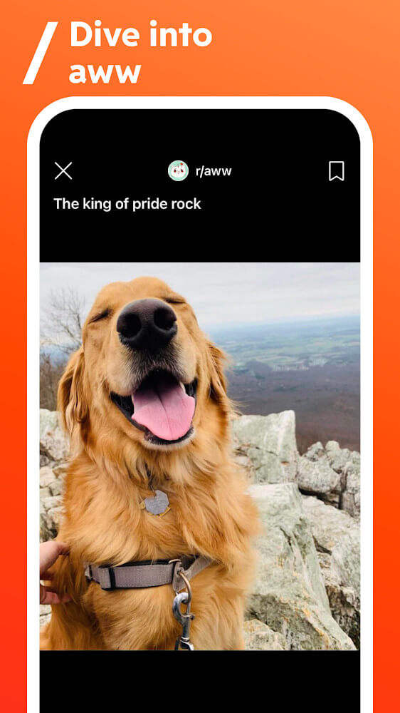 Reddit v2024.35.0 MOD APK (Premium Unlocked)