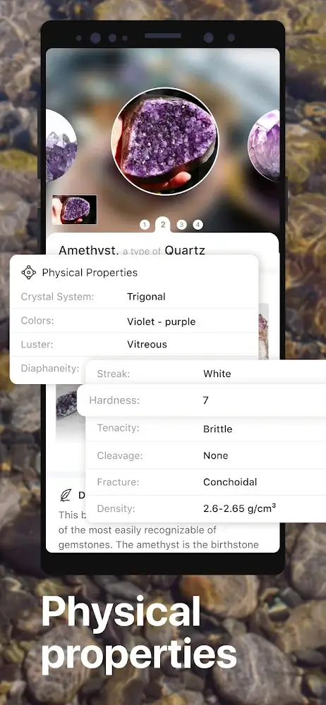 Rock Identifier: Stone ID v2.3.39 MOD APK (Premium Unlocked)