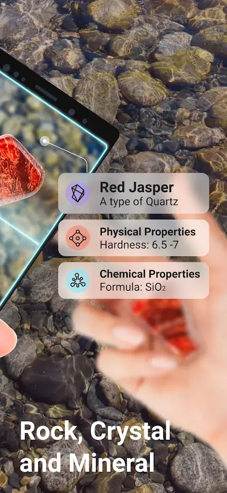 Rock Identifier: Stone ID v2.3.39 MOD APK (Premium Unlocked)