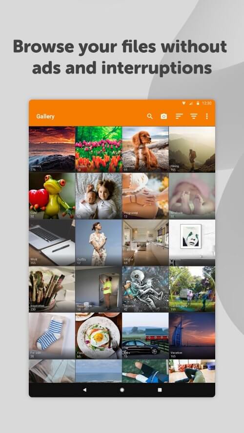 Simple Gallery Pro v6.28.1 APK (Optimized/Lite)