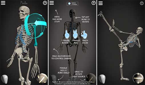 Skelly: Poseable Anatomy Model 1.12 Full Apk for Android