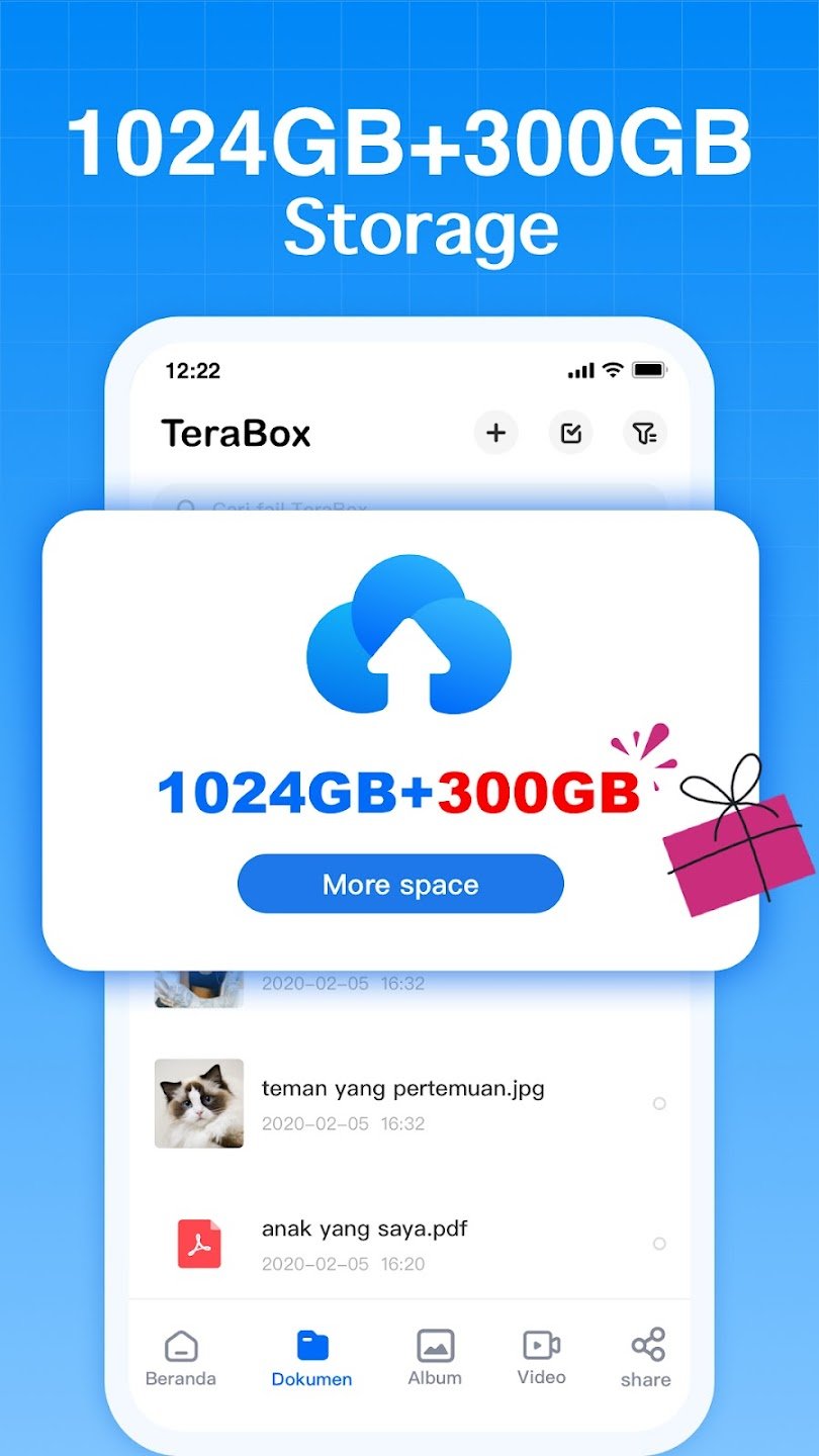 Terabox MOD APK 3.9.6 (Premium Unlocked)