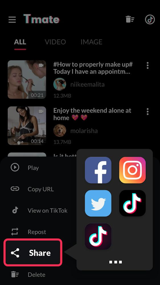 Tmate - TikTok Downloader v1.3.6 APK + MOD (AD Removed)