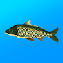 True Fishing APK + MOD (Unlocked, Unlimited Money) v1.15.0.698