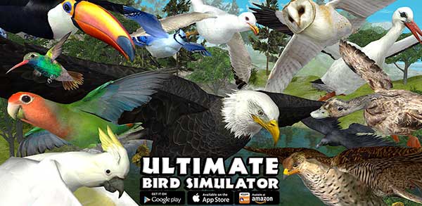 Ultimate Bird Simulator 1.3 (Full Paid) Apk for Android