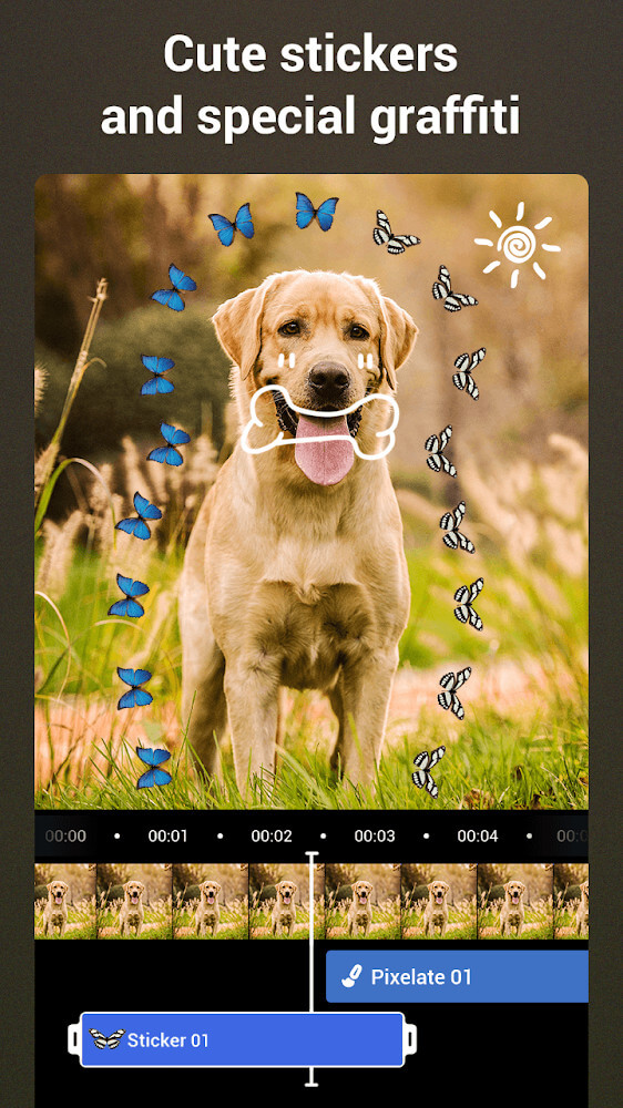 Video Editor & Camli HD Camera v4.2.4.0 APK + MOD (VIP Unlocked)