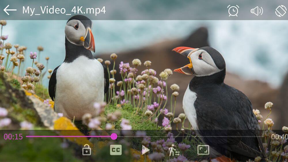 Video Player Pro v6.6.5 APK (Paid)