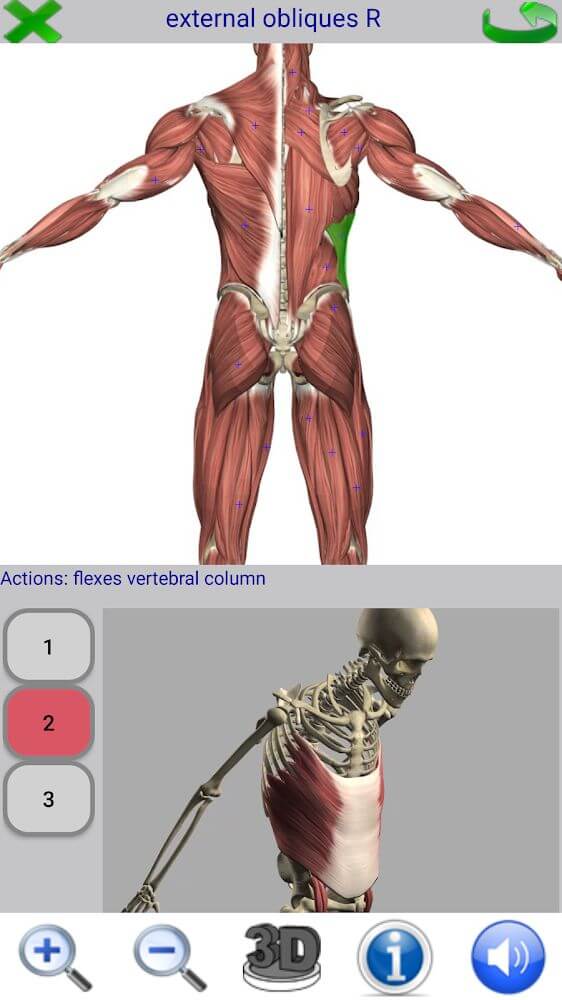 Visual Anatomy 2 v4.0 b44 APK (Patched)