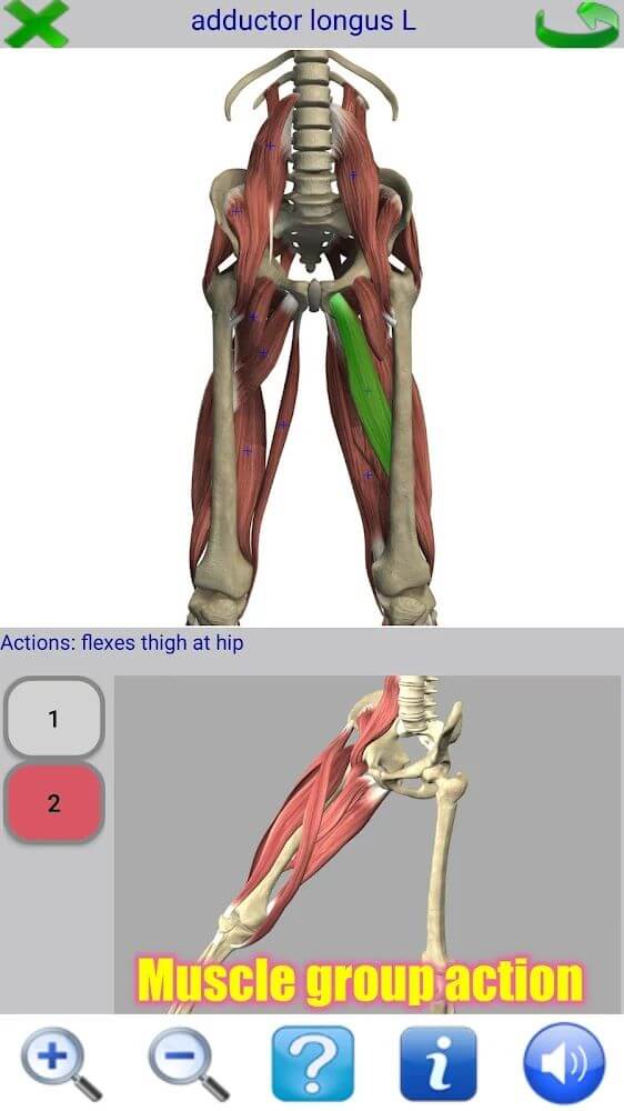 Visual Anatomy 2 v4.0 b44 APK (Patched)