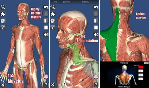 Visual Muscles 3D 3.0.0 Apk for Android
