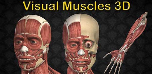 Visual Muscles 3D 3.0.0 Apk for Android